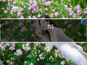 ns+怎么卖星露谷物语