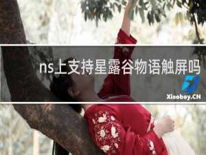 ns上支持星露谷物语触屏吗
