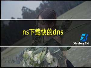 ns下载快的dns