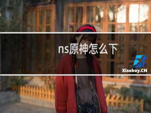 ns原神怎么下