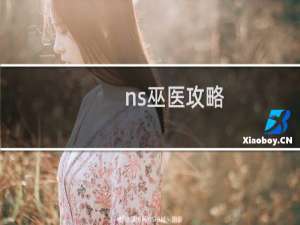 ns巫医攻略