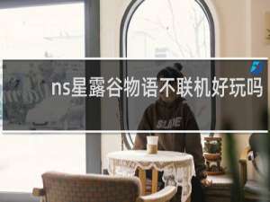 ns星露谷物语不联机好玩吗