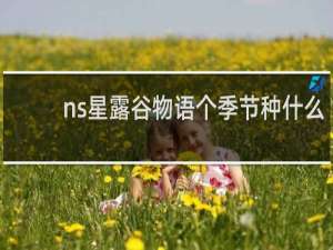 ns星露谷物语个季节种什么