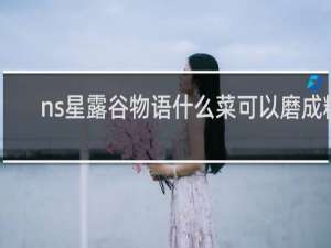 ns星露谷物语什么菜可以磨成糖