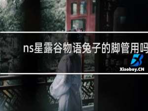 ns星露谷物语兔子的脚管用吗