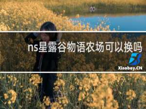 ns星露谷物语农场可以换吗