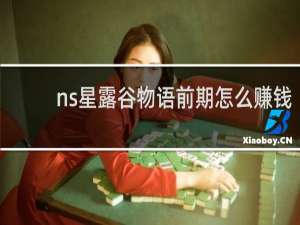 ns星露谷物语前期怎么赚钱