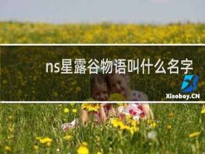 ns星露谷物语叫什么名字