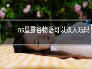 ns星露谷物语可以双人玩吗