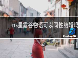 ns星露谷物语可以同性结婚吗