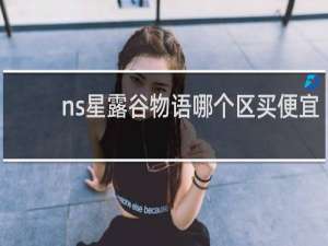 ns星露谷物语哪个区买便宜