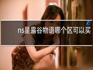 ns星露谷物语哪个区可以买