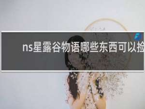 ns星露谷物语哪些东西可以捡