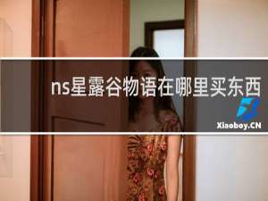 ns星露谷物语在哪里买东西