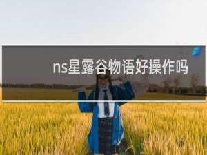 ns星露谷物语好操作吗