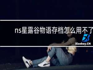 ns星露谷物语存档怎么用不了