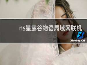 ns星露谷物语局域网联机
