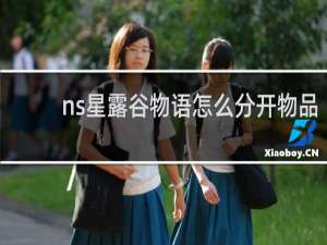 ns星露谷物语怎么分开物品