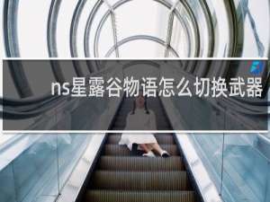 ns星露谷物语怎么切换武器