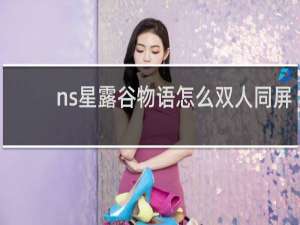 ns星露谷物语怎么双人同屏