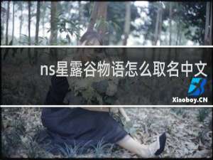 ns星露谷物语怎么取名中文