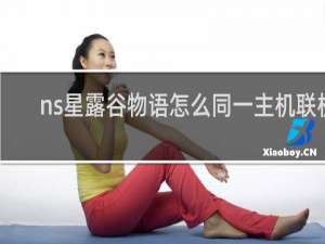 ns星露谷物语怎么同一主机联机