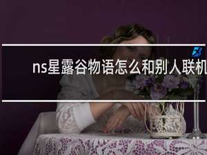 ns星露谷物语怎么和别人联机