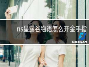 ns星露谷物语怎么开金手指