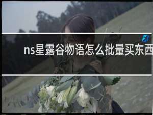 ns星露谷物语怎么批量买东西