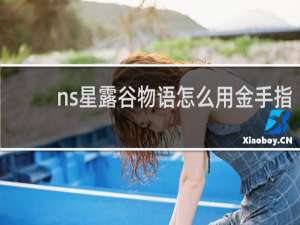 ns星露谷物语怎么用金手指