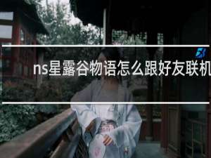 ns星露谷物语怎么跟好友联机