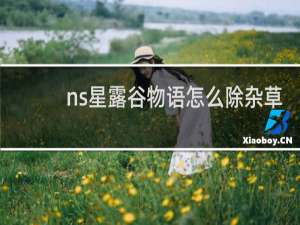 ns星露谷物语怎么除杂草