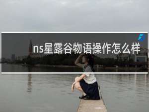 ns星露谷物语操作怎么样