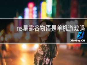 ns星露谷物语是单机游戏吗