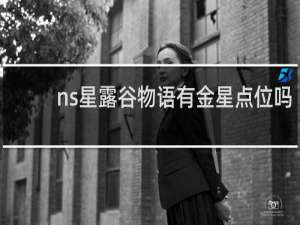 ns星露谷物语有金星点位吗