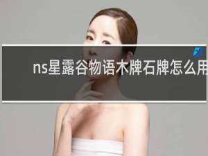 ns星露谷物语木牌石牌怎么用