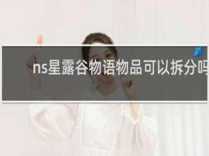 ns星露谷物语物品可以拆分吗