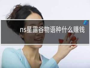 ns星露谷物语种什么赚钱