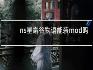 ns星露谷物语能装mod吗
