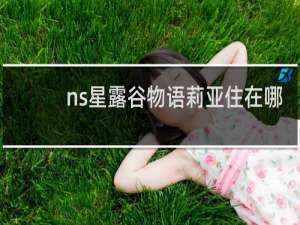 ns星露谷物语莉亚住在哪