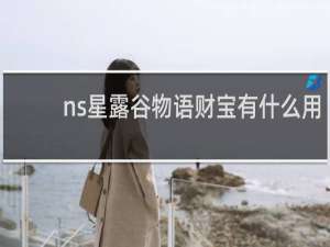 ns星露谷物语财宝有什么用