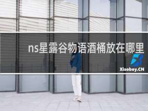ns星露谷物语酒桶放在哪里