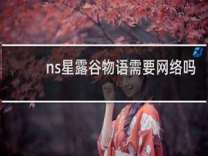 ns星露谷物语需要网络吗