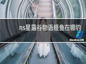 ns星露谷物语鳗鱼在哪钓
