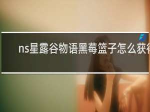 ns星露谷物语黑莓篮子怎么获得