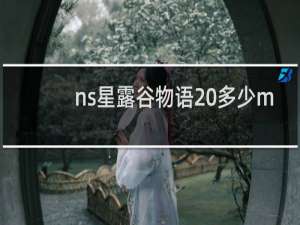 ns星露谷物语 多少m