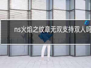 ns火焰之纹章无双支持双人吗
