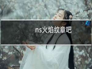 ns火焰纹章吧
