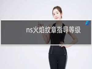 ns火焰纹章指导等级
