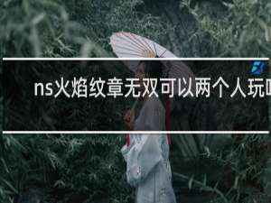 ns火焰纹章无双可以两个人玩吗